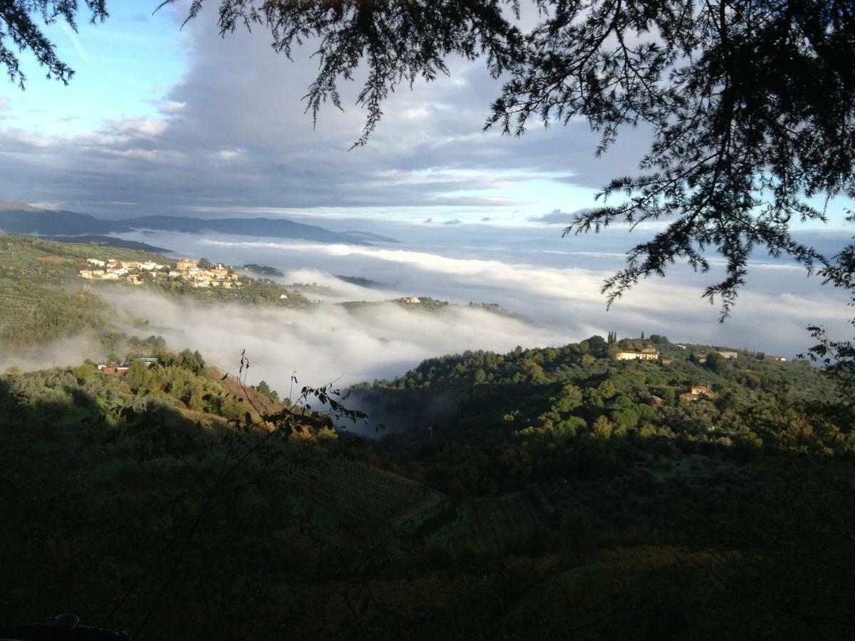 Il Ghiro Hotel Montevarchi Bagian luar foto